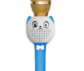 Mikrofon Karaoke Kotek – Zestaw Karaoke z 100 Piosenkami i Podkładami Muzycznymi